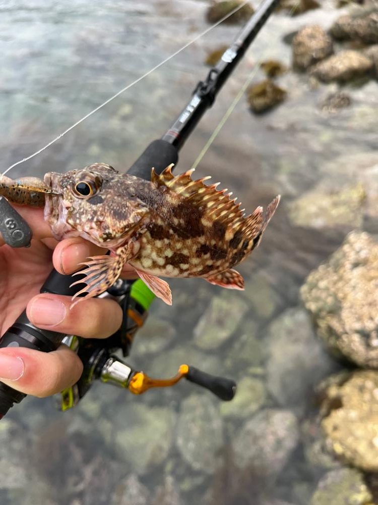 小浜ライトロック