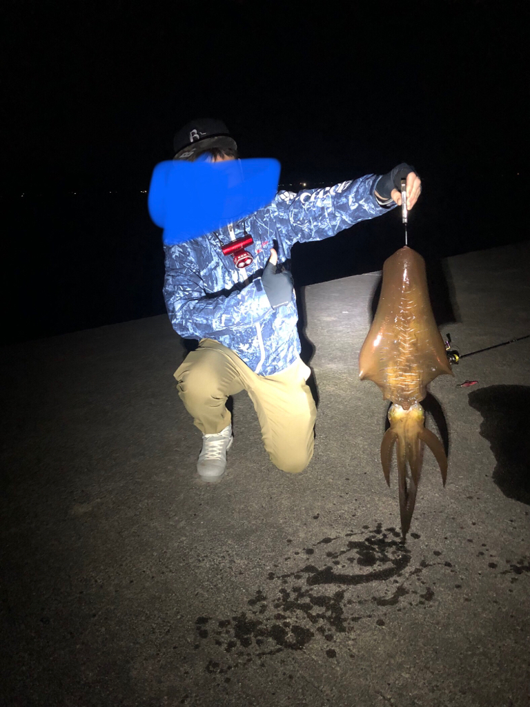 久々のエギング