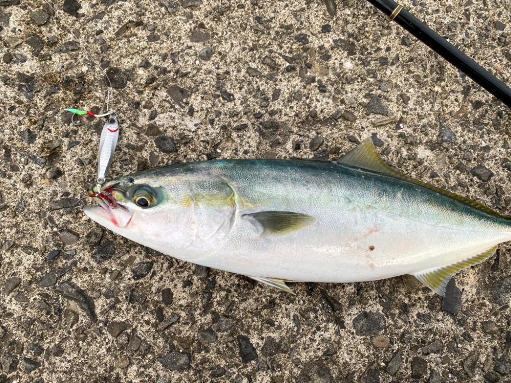 2023初フィッシュ🐟