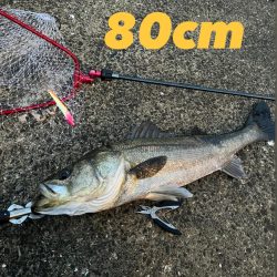 ひとりショアジギング