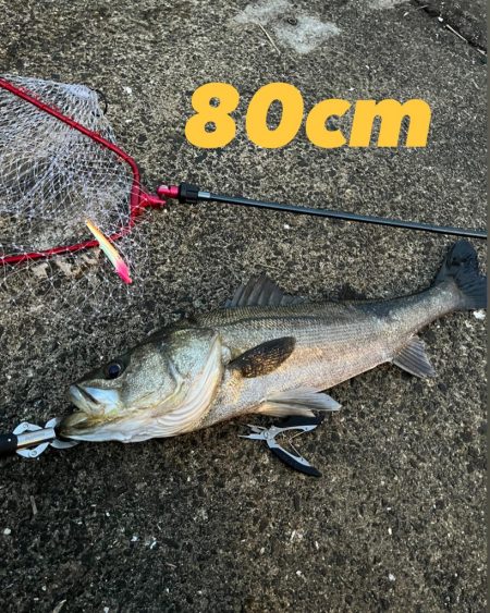 ひとりショアジギング