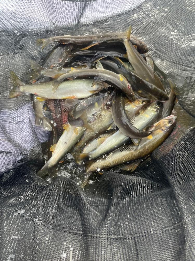 九州鮎釣連合会大会