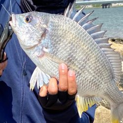 チニング 淀川 塚本