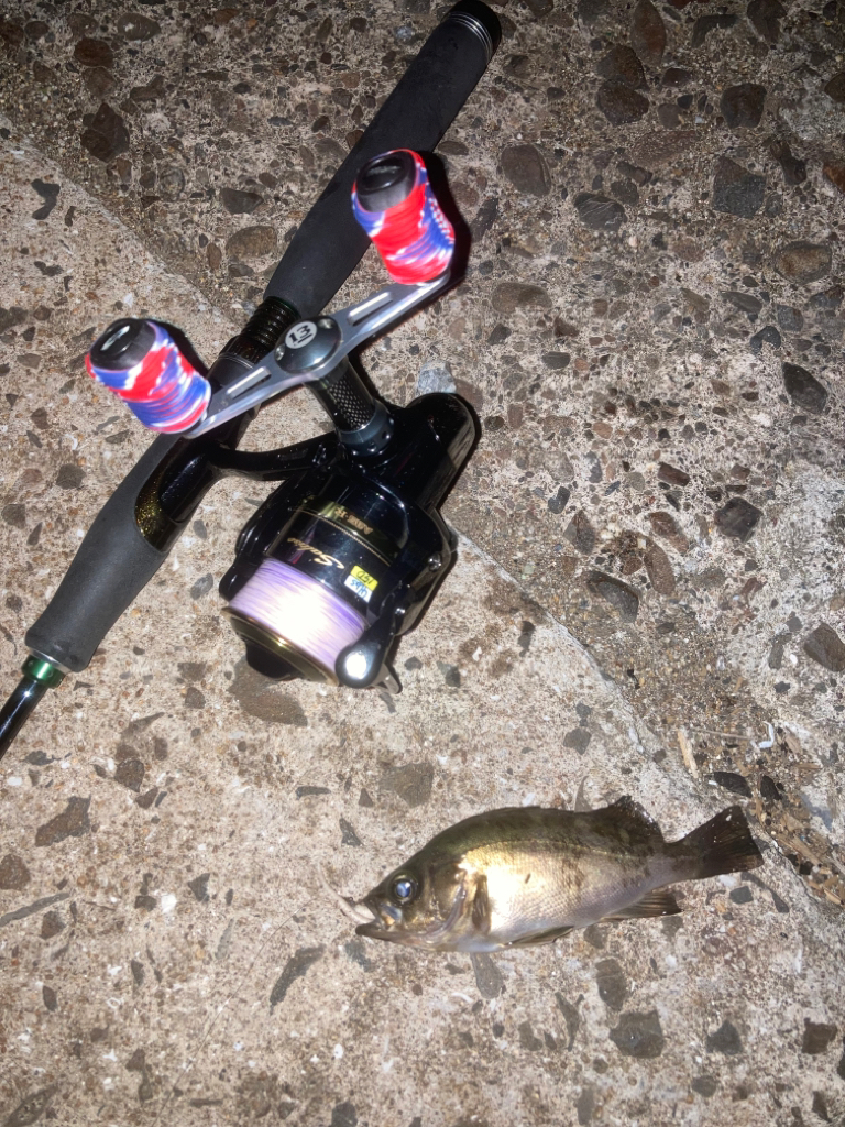 ご近所メバリング