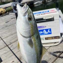 久しぶりの水宝