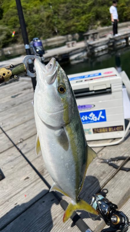 久しぶりの水宝