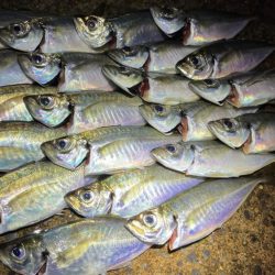 ころころかわるレンジ