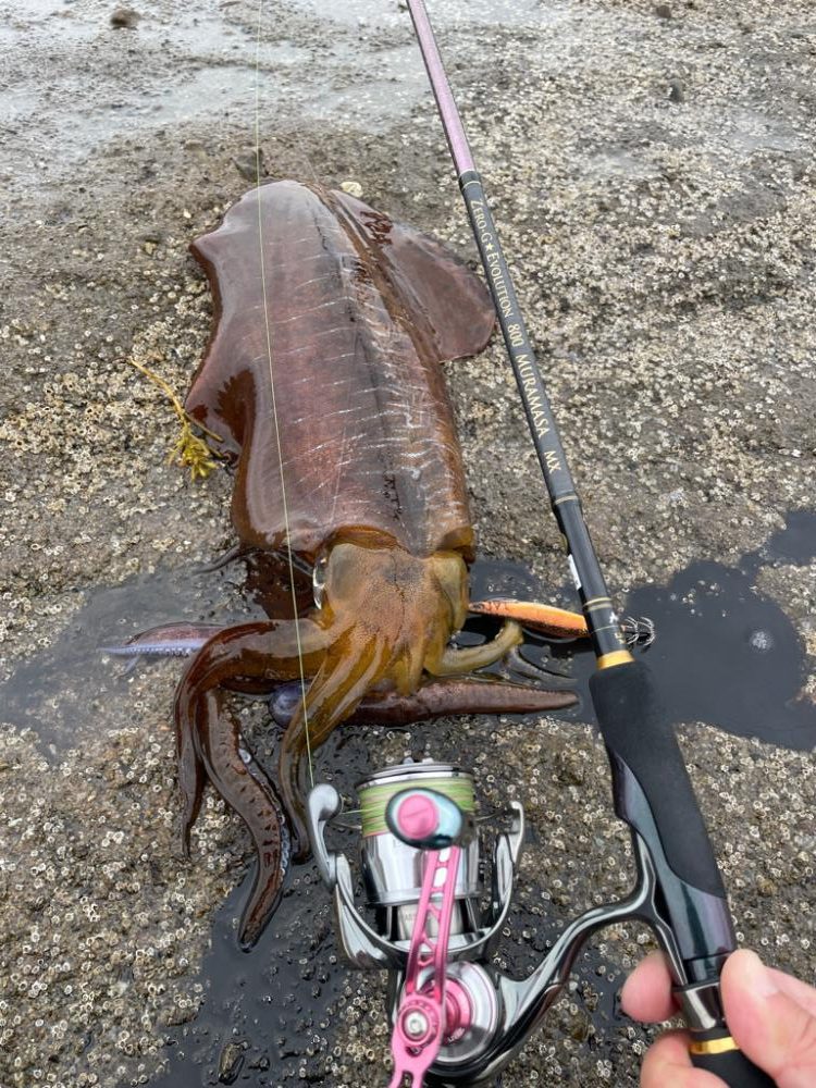 自己記録更新‼️