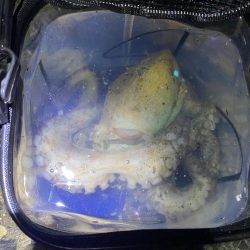 念願のキロアップ!!!