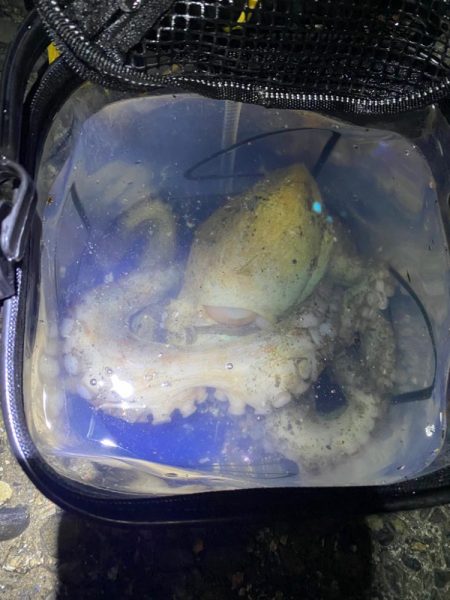 念願のキロアップ！！！