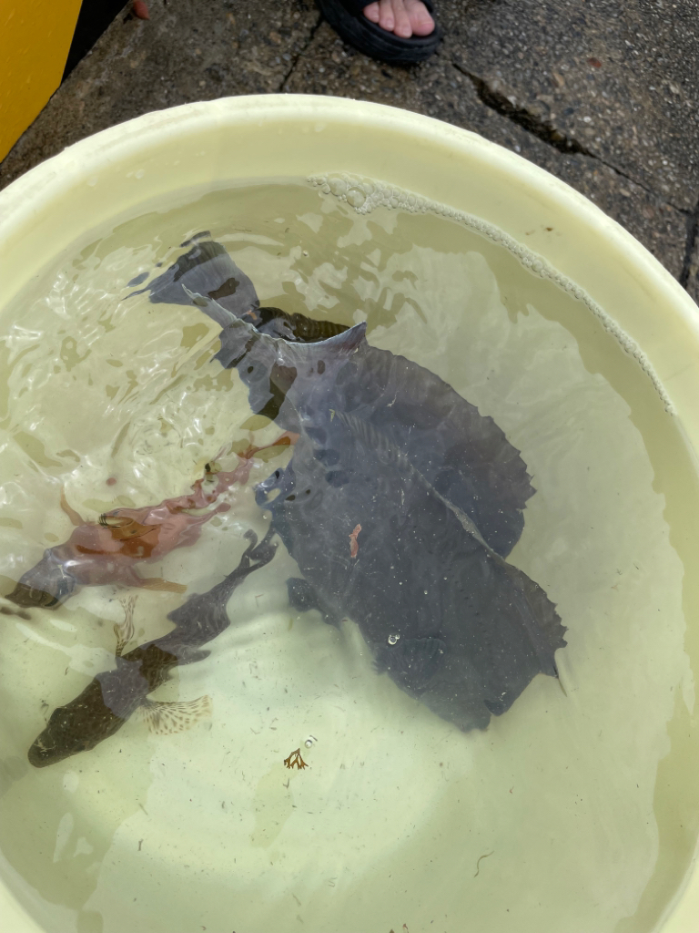 めっちゃ引くやん…