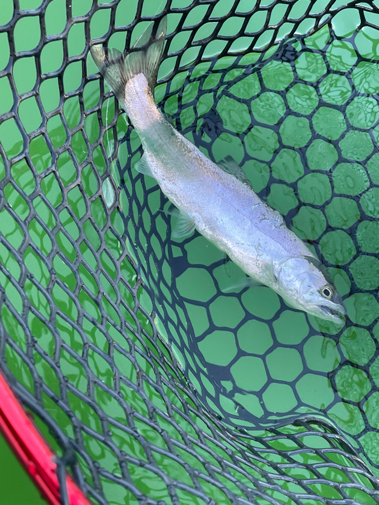 初の然別湖グレートフィッシング!