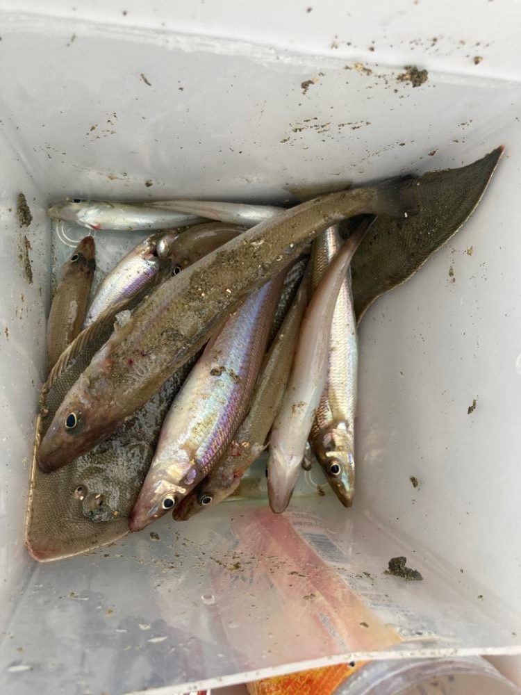 久しぶりのスペシャルゲスト