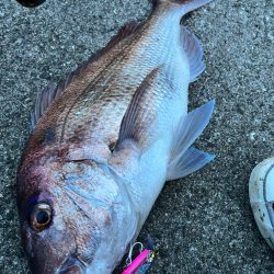 最高のファイト