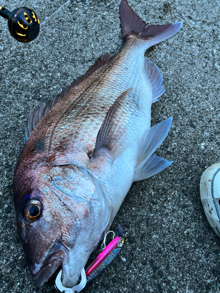 最高のファイト