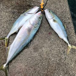 ショアジギング