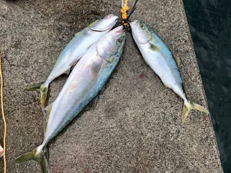 ショアジギング