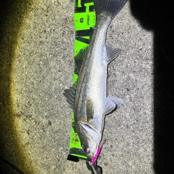 ランガンの末に