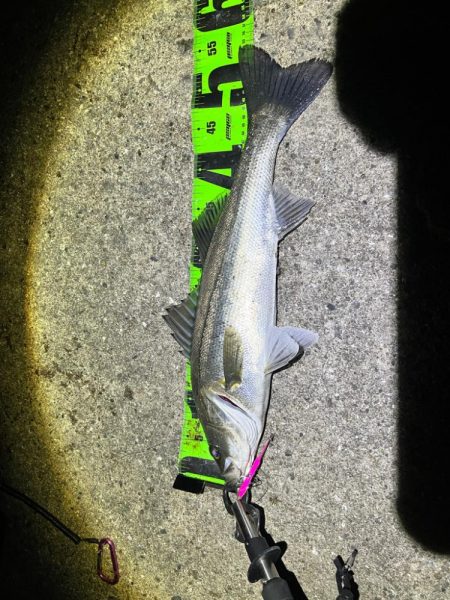 ランガンの末に