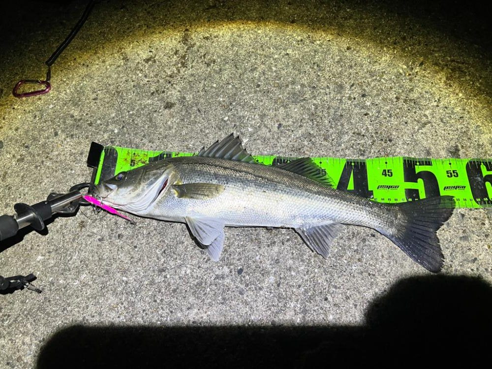 ランガンの末に