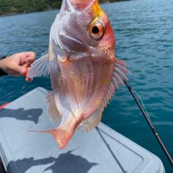 一つテンヤで多魚種