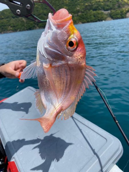 一つテンヤで多魚種
