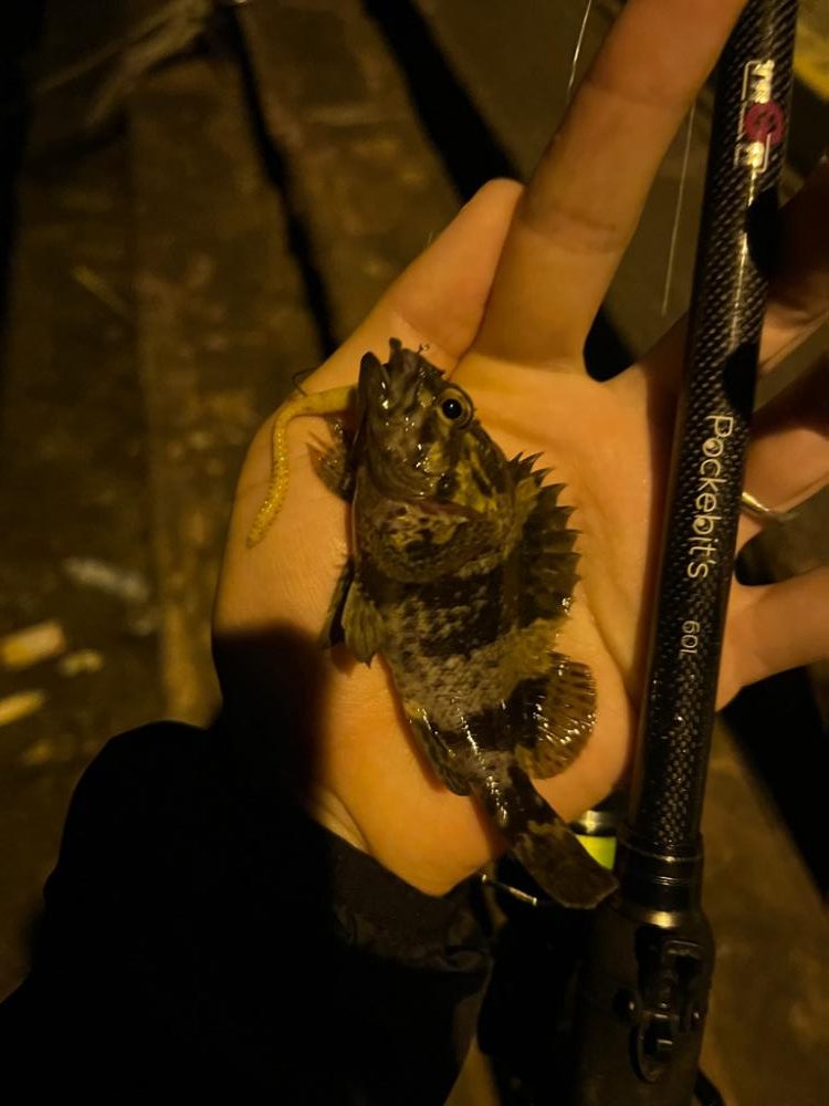 超スキマ時間釣行