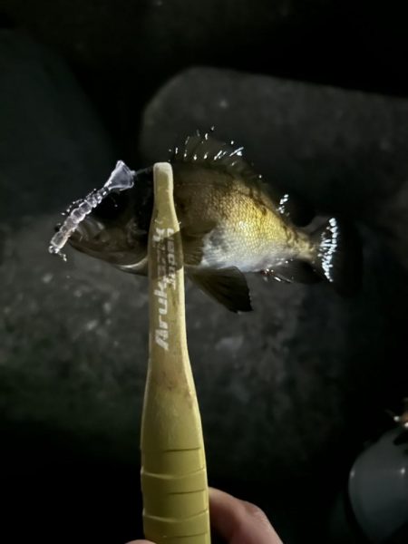 人の少ないポイント探し