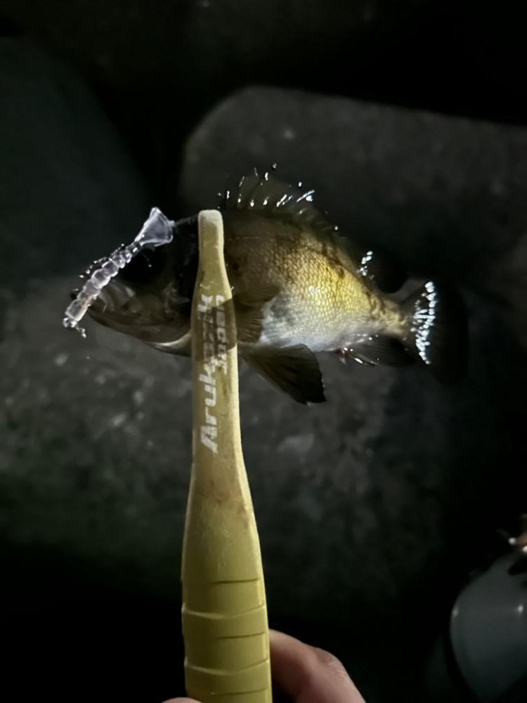 人の少ないポイント探し