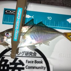 雨上がりの様子は・・・