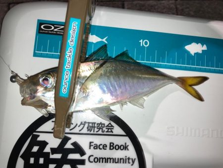 雨上がりの様子は・・・