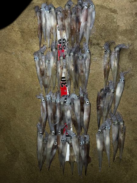 ５月１２日釣行