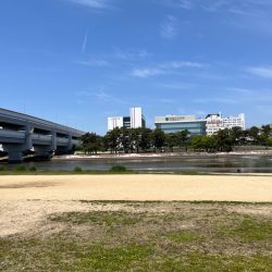 今日は武庫川でチニング!