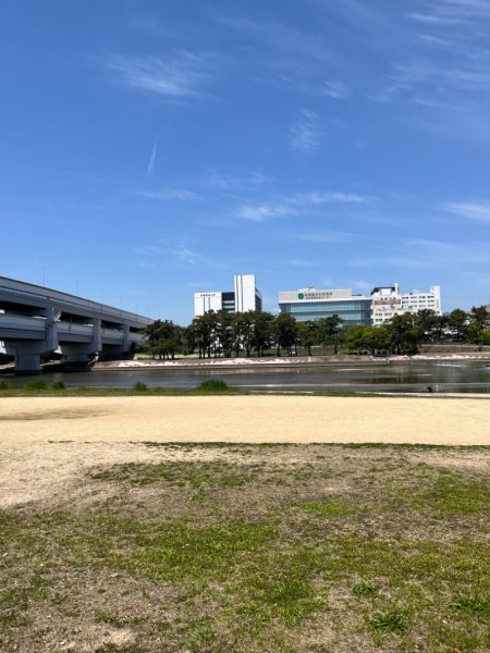 今日は武庫川でチニング!