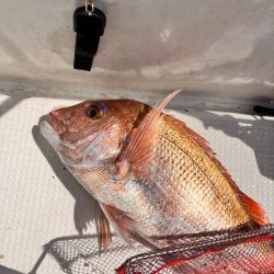 久々にあの海に