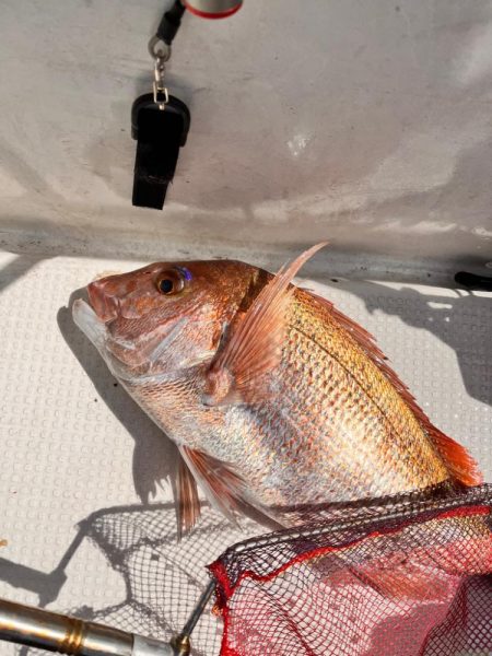 久々にあの海に