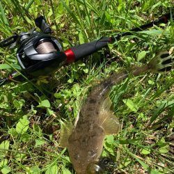 チニング…マゴチング？