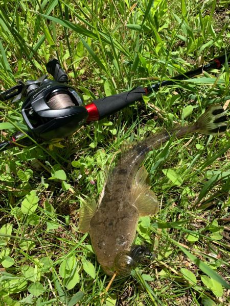 チニング…マゴチング？