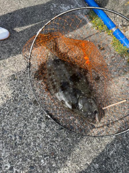 ゴールデンウィーク釣行