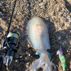 キロオーバーならず