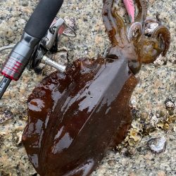 終わり良ければ