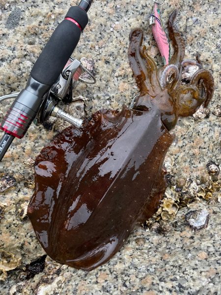 終わり良ければ