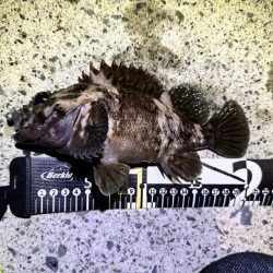 夜の常夜灯は楽しい！