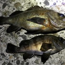 フロートメバリング