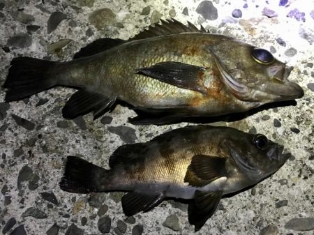 フロートメバリング