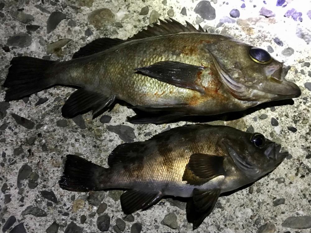 フロートメバリング