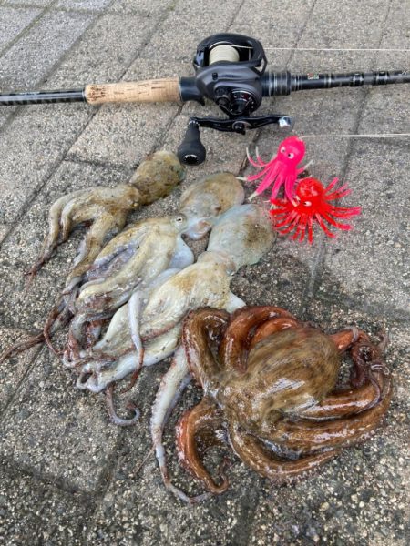 湾奥蛸散歩。4杯。。