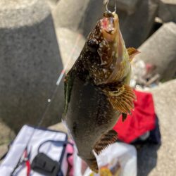 穴釣り５目狙い