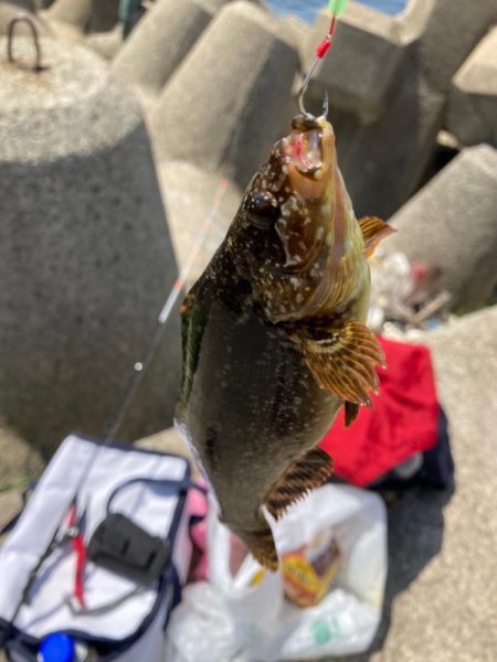 穴釣り５目狙い