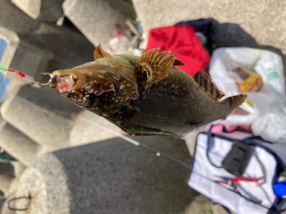 穴釣り５目狙い